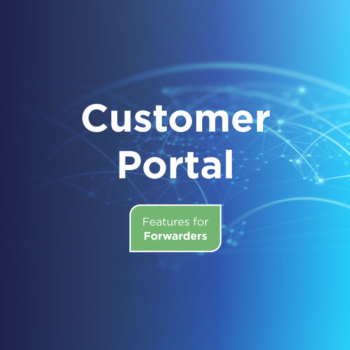 Customer portal что это такое